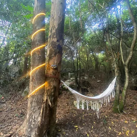 خيمة فخمة Glamping Experience La Maeta