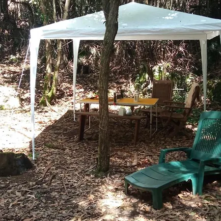 Campo de lujo Glamping La Maeta
