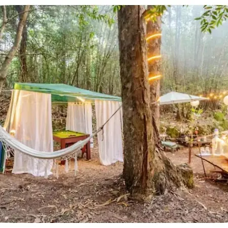 Glamping Boutique خيمة فخمة *