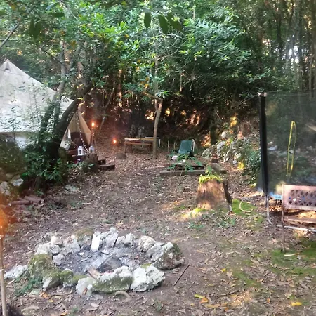 Campo de lujo Glamping La Maeta